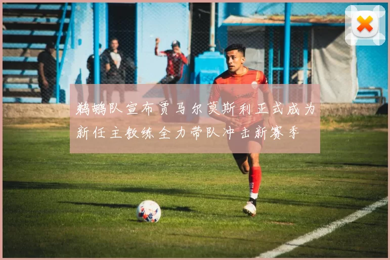 鹈鹕队宣布贾马尔莫斯利正式成为新任主教练全力带队冲击新赛季