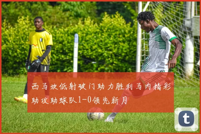 西马坎低射破门助力胜利马内精彩助攻助球队1-0领先新月
